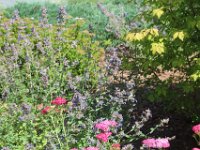 05-Thursday 17.JPG